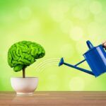 Protect your brain